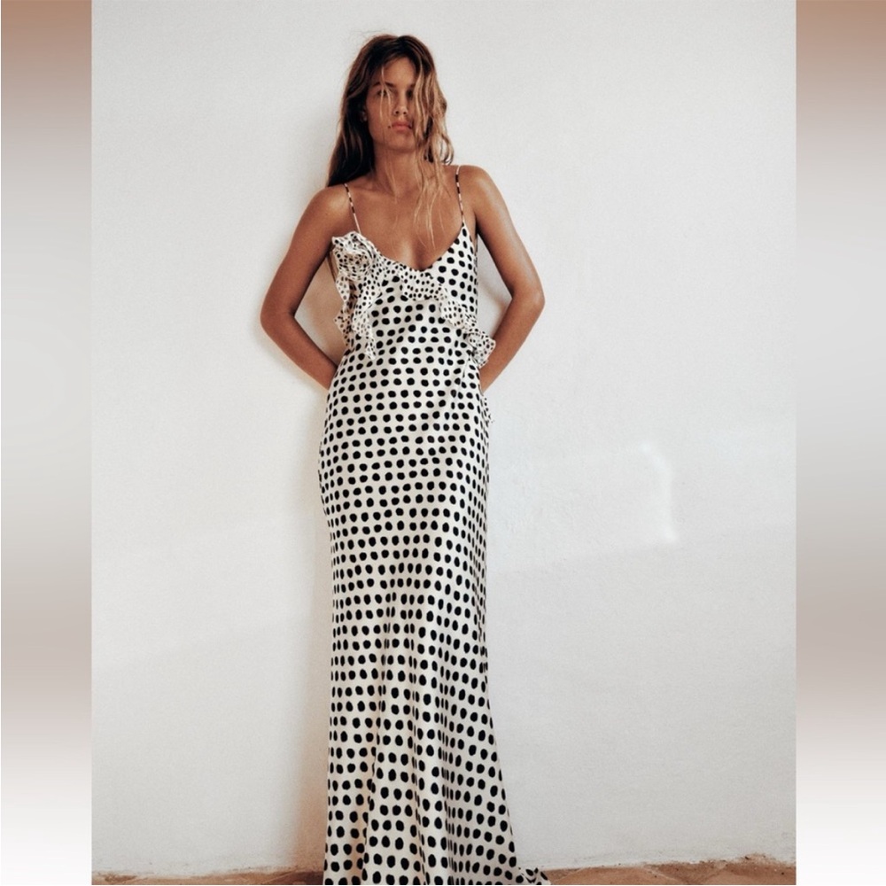 Zara polka dot ruffle dress